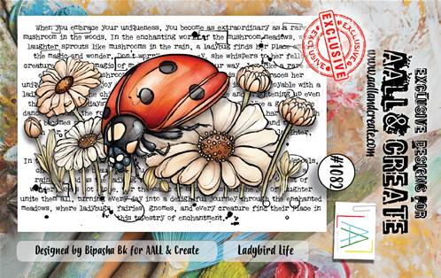 Tampon - A7 - #1082 - Ladybird Life