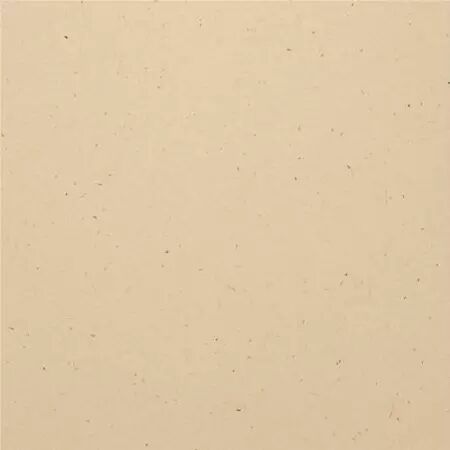 Bazzill Speckle - Natural Stone