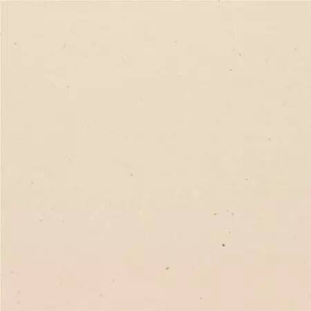 Bazzill Speckle - Travertine