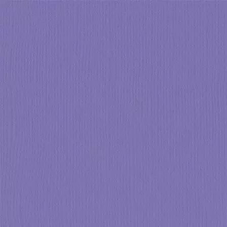 Cardstock - Purple