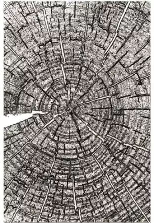 Classeur de gaufrage 3D - Tree Rings