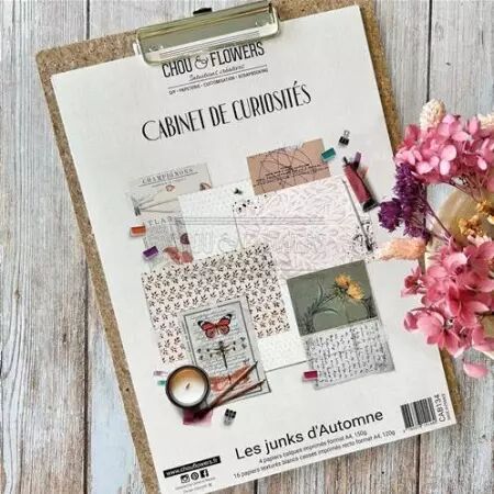 Les Junks d\'Automne - Cabinet de Curiosités