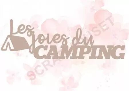 Mot en carton - Les joies du camping