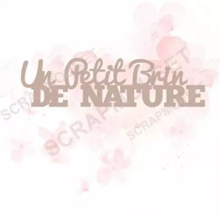 Mot en carton - Un petit brin de nature