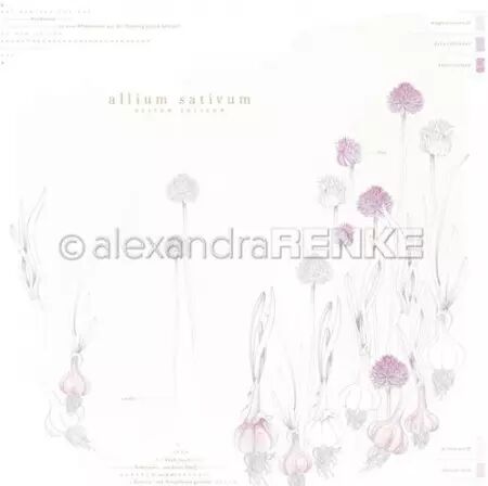 Papier - Veggie Garden - Allium Sativum