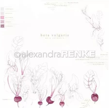 Papier - Veggie Garden - Beta vulgaris