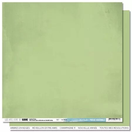 Papier Back to Basics - Poésie Hivernale - Vert tendre