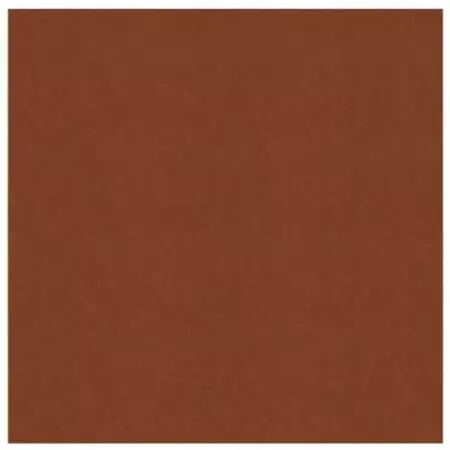 Papier cardstock - Brown