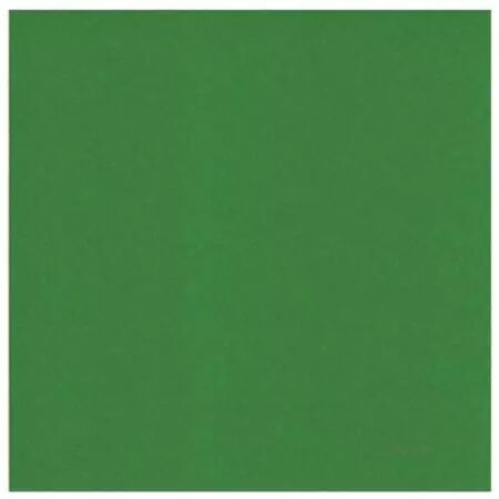 Papier cardstock - Fern Green