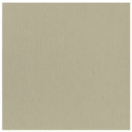 Papier cardstock - Taupe