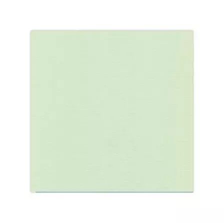 Papier cardstock - Vert clair