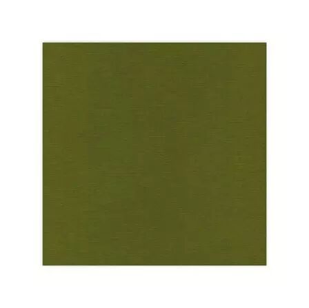 Papier cardstock - Vert mousse