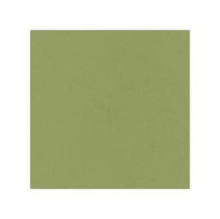 Papier cardstock - Vert olive