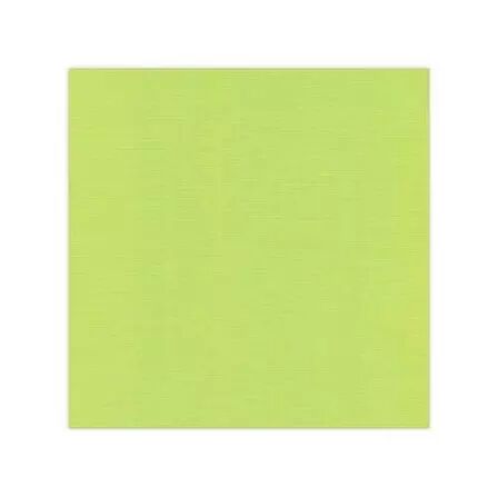 Papier cardstock - Vert printemps