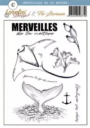 Tampon - Entre terre et mer - Merveilles de la nature